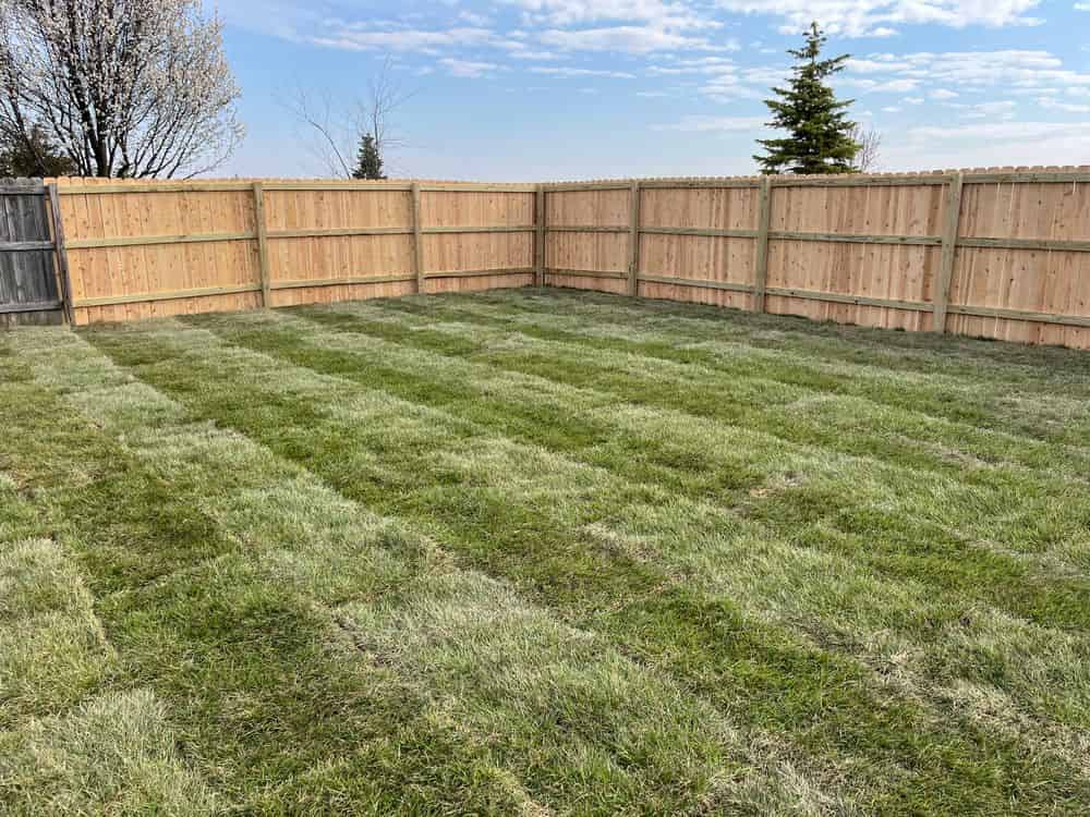 Landscape Consultation, Design, and Installation image