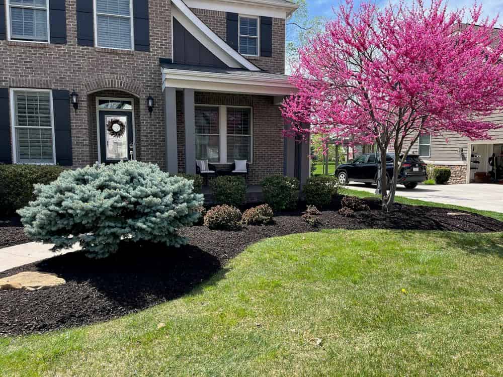 Landscape Consultation, Design, and Installation image