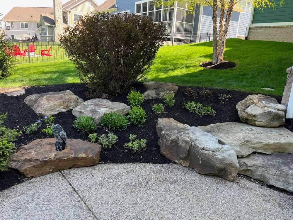 Landscape Maintenance and Renovation image