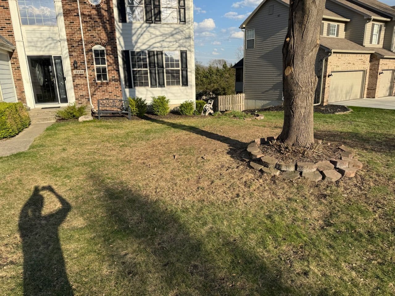Leaf Removal Transforms Yard in Fishers image
