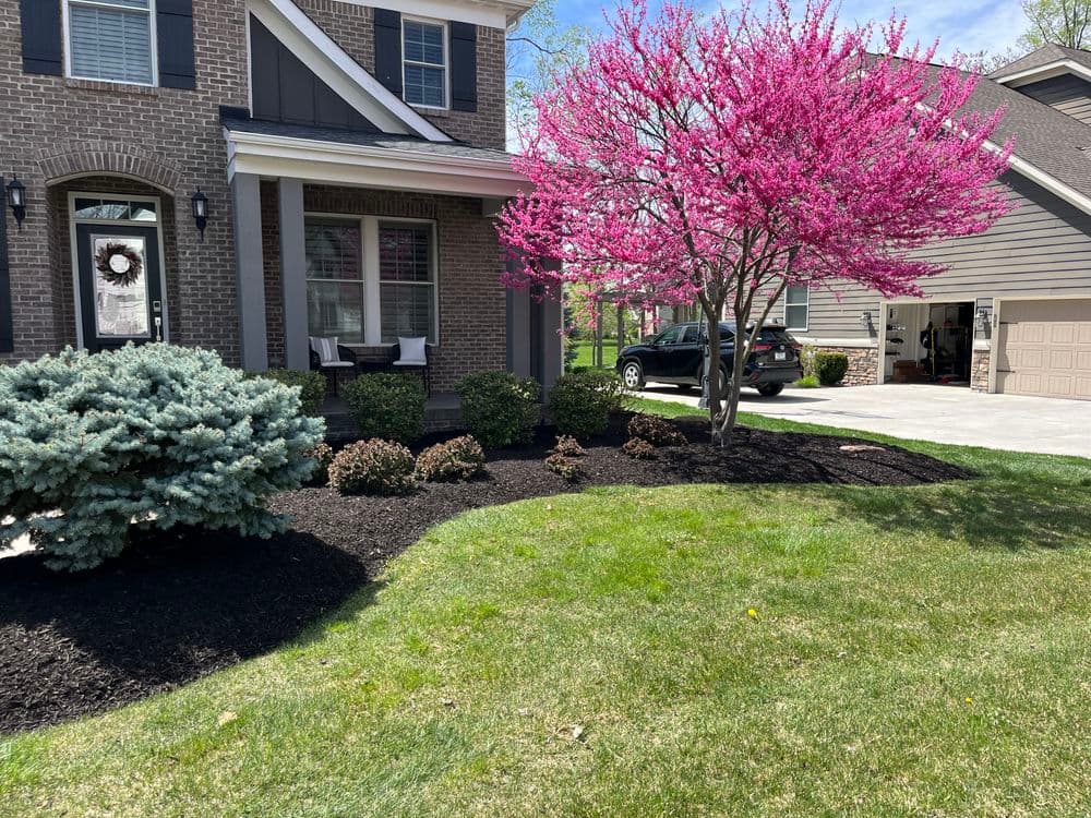 Contact form background